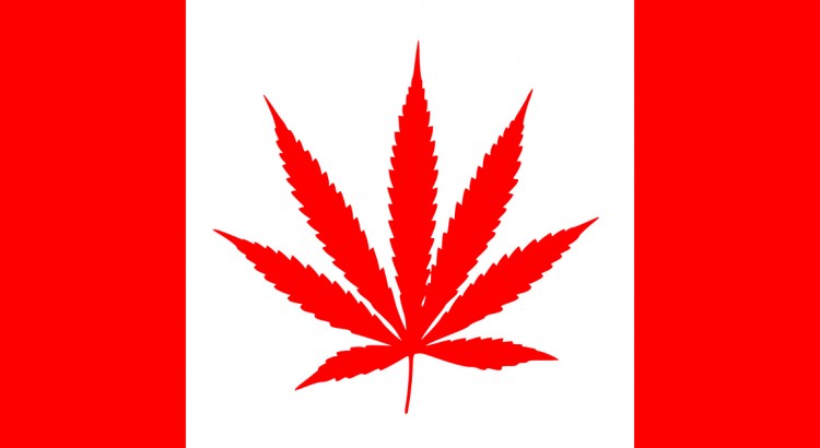 rencontre cannabis