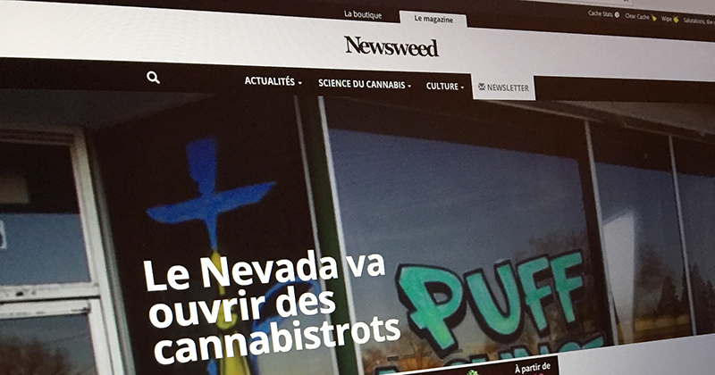 Journaliste stagiaire - Newsweed