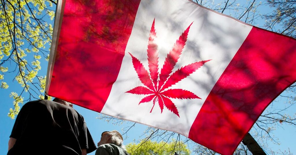 Le Canada Lance Un Examen De Sa Légalisation Du Cannabis Newsweed