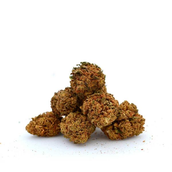 Orange Bud Pop Corn CBD [Greenhouse]