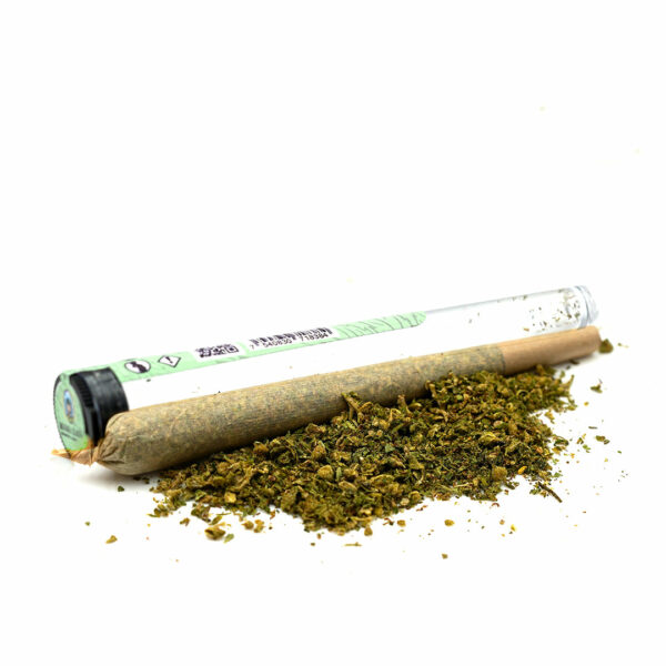 Pre-roll Amnesia CBD