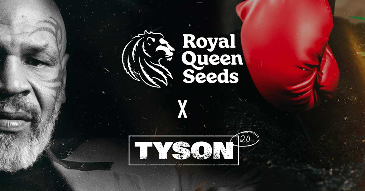 Royal Queen Seeds et Mike Tyson