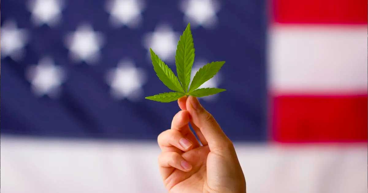 Reclassification du cannabis aux USA