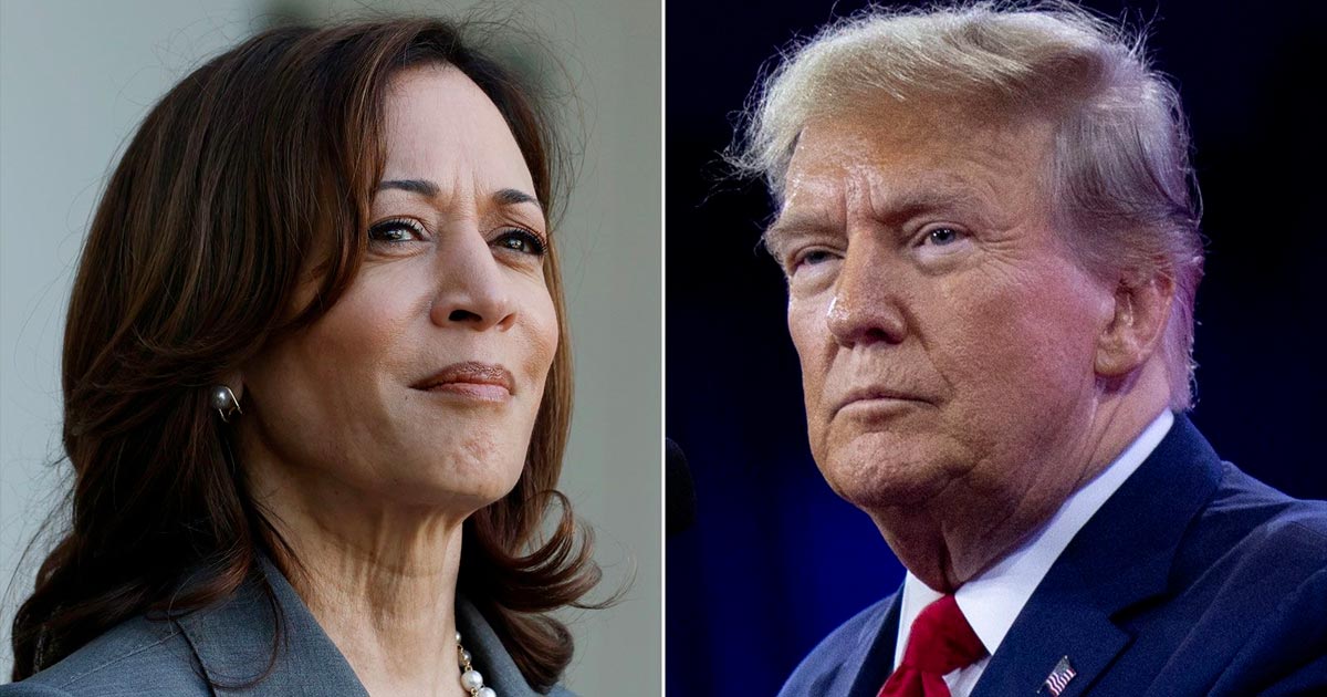 Légalisation du cannabis aux Etats-Unis avec Kamala Harris ou Donald Trump