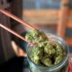 Ouverture des Cannabis Clubs en Allemagne