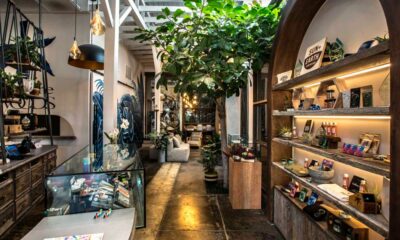 Cannabis lounge en Californie