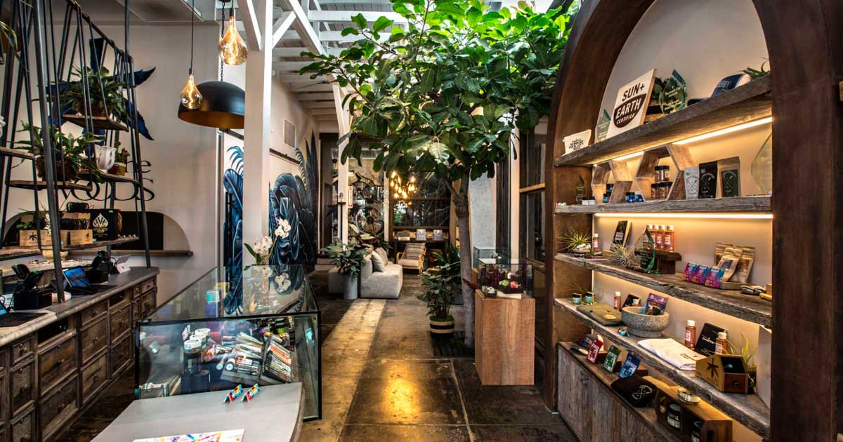 Cannabis lounge en Californie