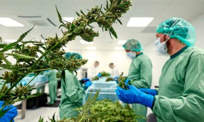 Cannabis médical en Ukraine