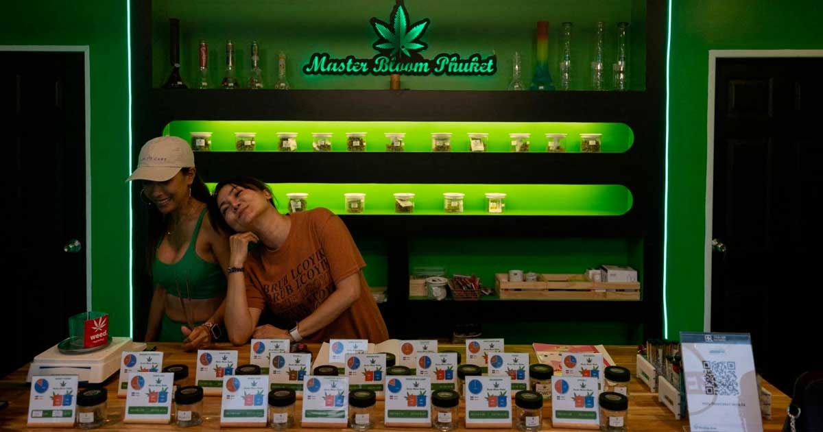 Régulation du cannabis légal en Thaïlande