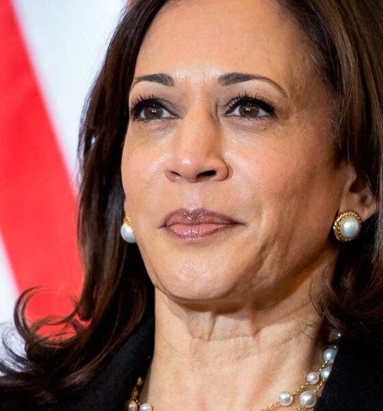 Kamala Harris présente son plan de légalisation du cannabis