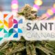 Etude de Santé Cannabis