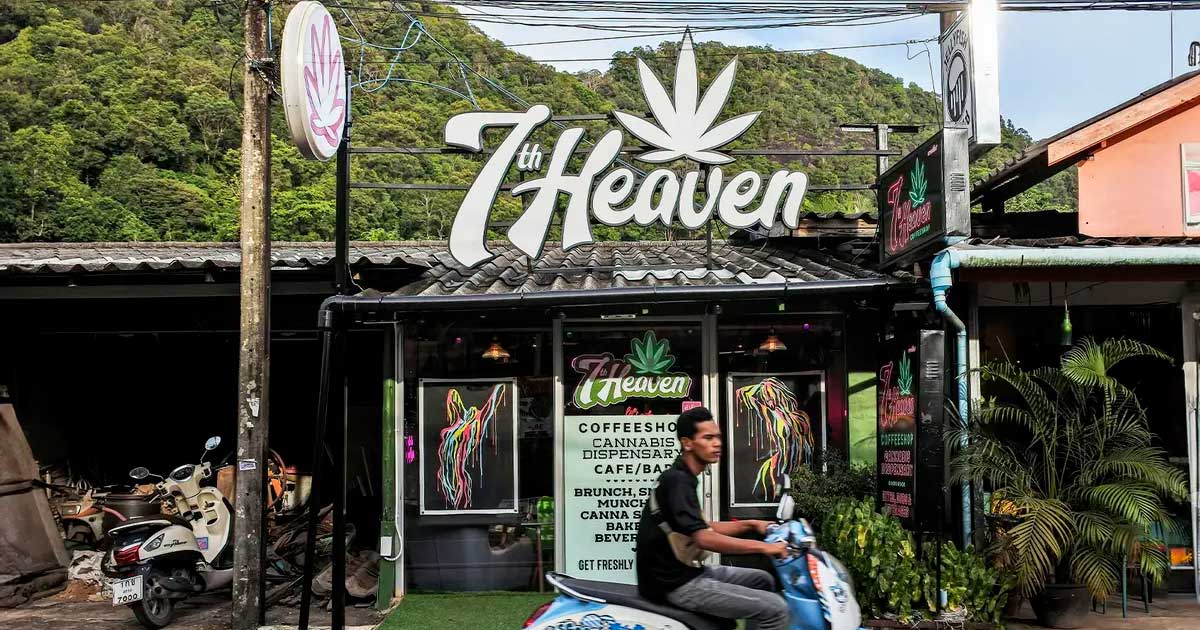 Régulation du cannabis en Thaïlande