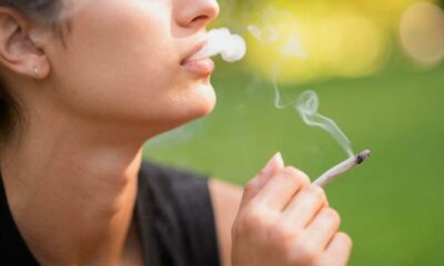 La consommation de cannabis baisse chez les adolescents