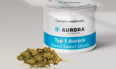 Island Sweet Skunk d'Aurora