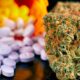 Cannabis médical et Opioides