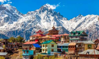 Chanvre dans l'Himachal Pradesh